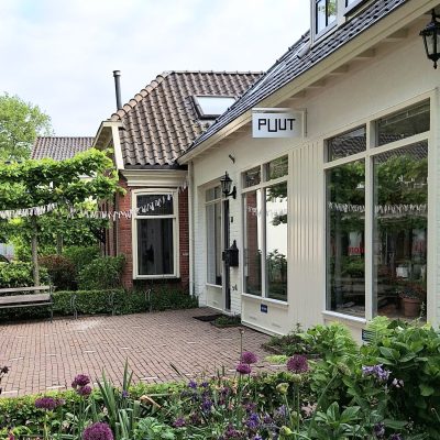 Puut_Zuidlaren.jpg